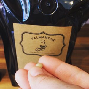 A green coffee bean in front of a bag of Valmandin gourmet coffee
